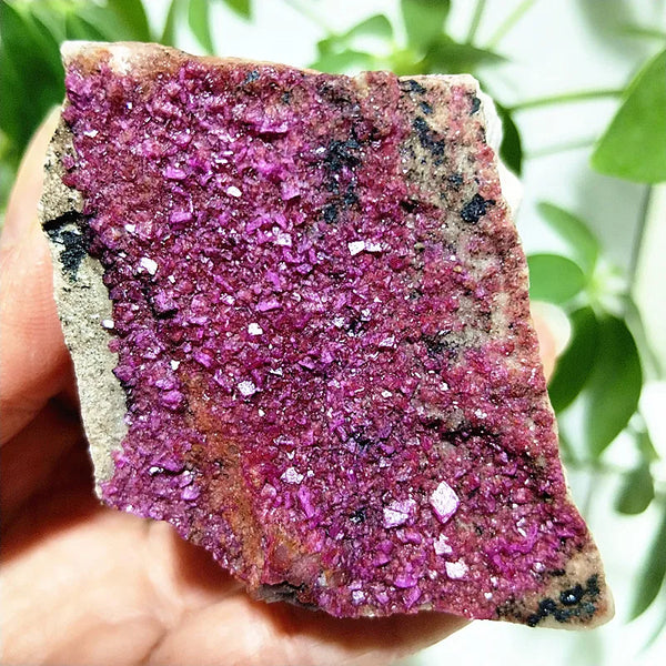 Pink Cobaltocalcite Raw Rock-ToShay.org