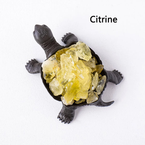 Mixed Crystal Turtles-ToShay.org