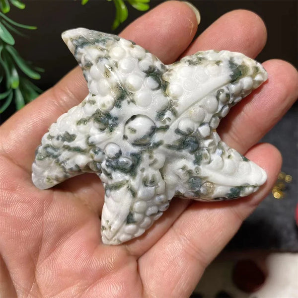 Green Moss Agate Starfish-ToShay.org