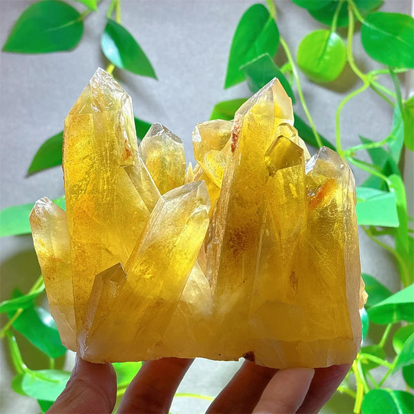Yellow Citrine Crystal Cluster-ToShay.org