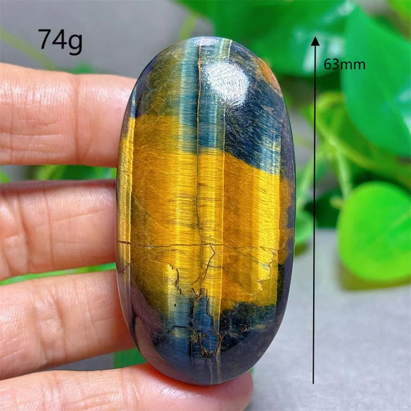 Blue Yellow Tiger Eye-ToShay.org