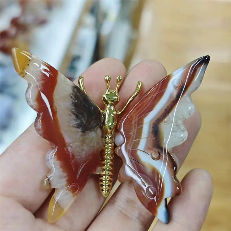 Mixed Agate Butterfly-ToShay.org