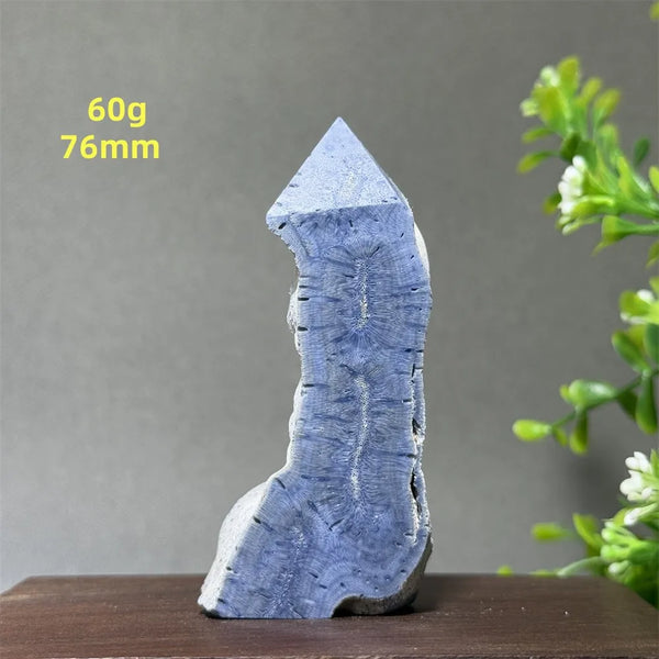 Blue Coral Crystal-ToShay.org