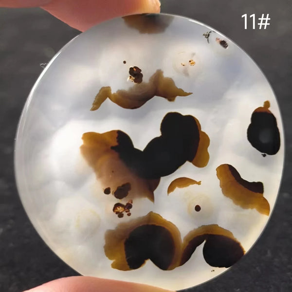 White Onyx Ocean Chalcedony-ToShay.org