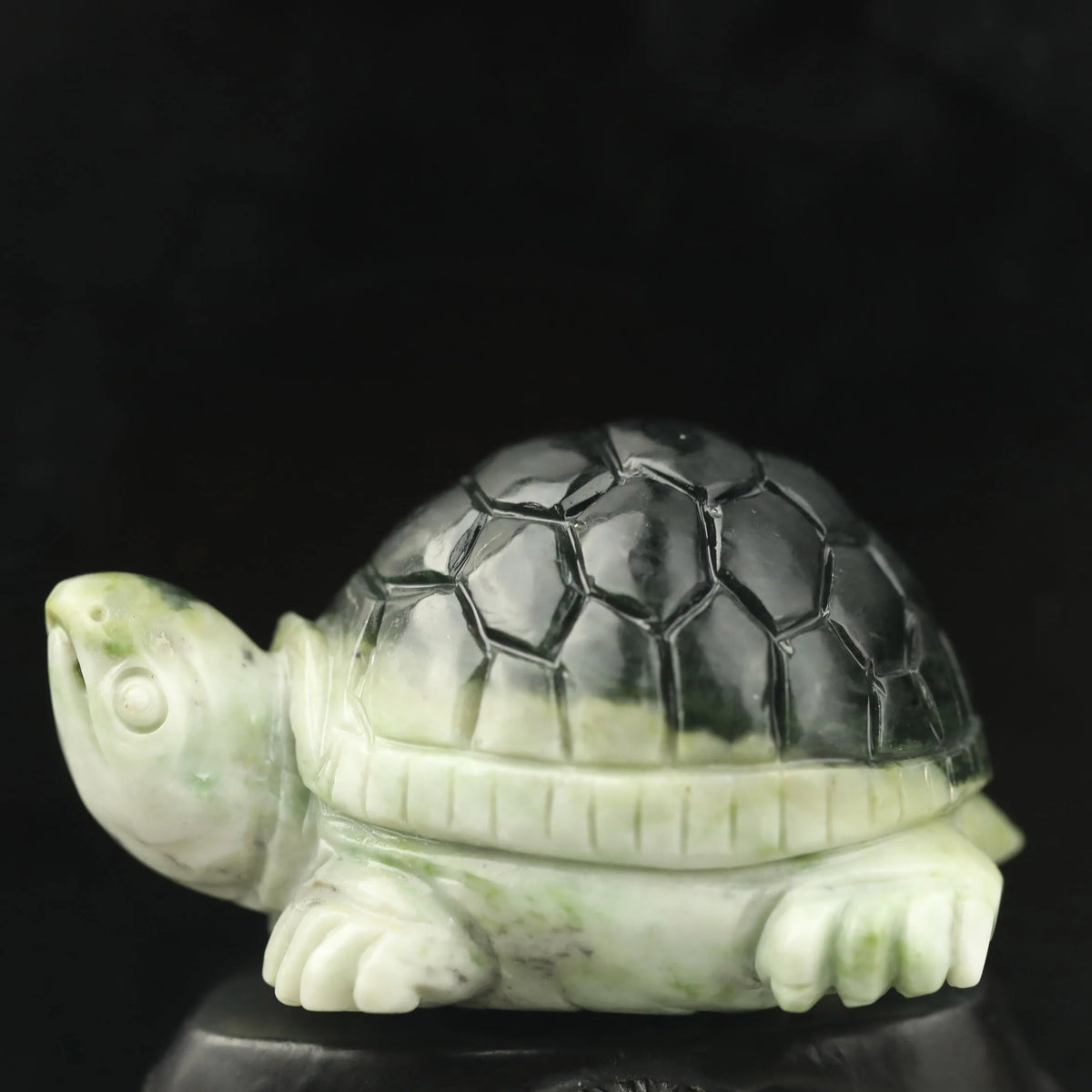 Green Jade Turtle-ToShay.org