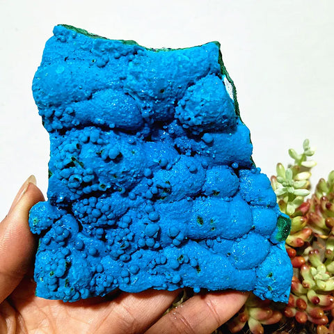 Blue Chrysocolla Crystal-ToShay.org