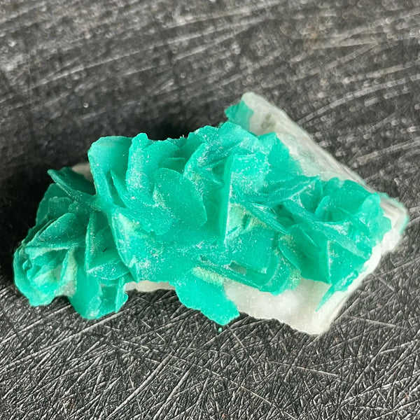 Green Antlerite Mineral Quartz-ToShay.org