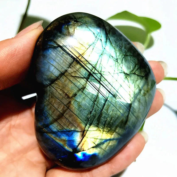 Blue Labrador Heart-ToShay.org