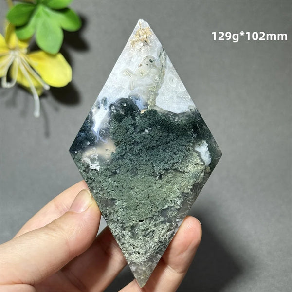 Green Aquatic Plant Agate-ToShay.org