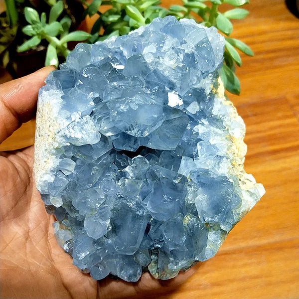 Blue Celestite Geode Crystal-ToShay.org