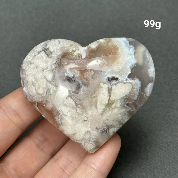 Black Cherry Blossom Agate-ToShay.org