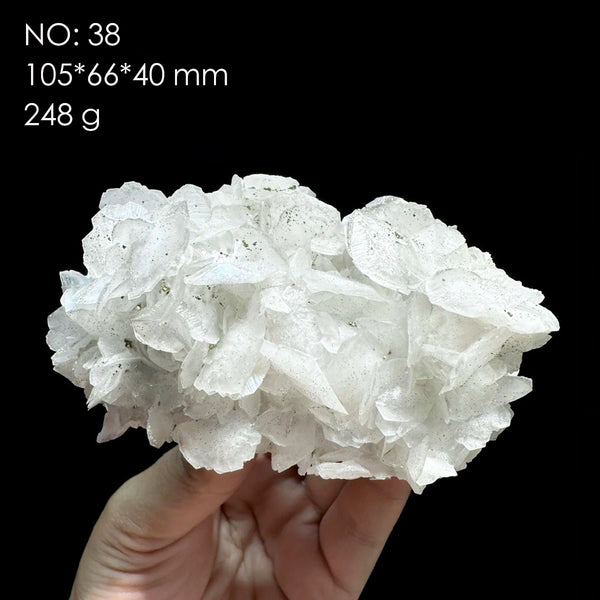 White Calcite Rose-ToShay.org