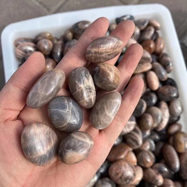 Black Moonstone Tumbled Stones-ToShay.org
