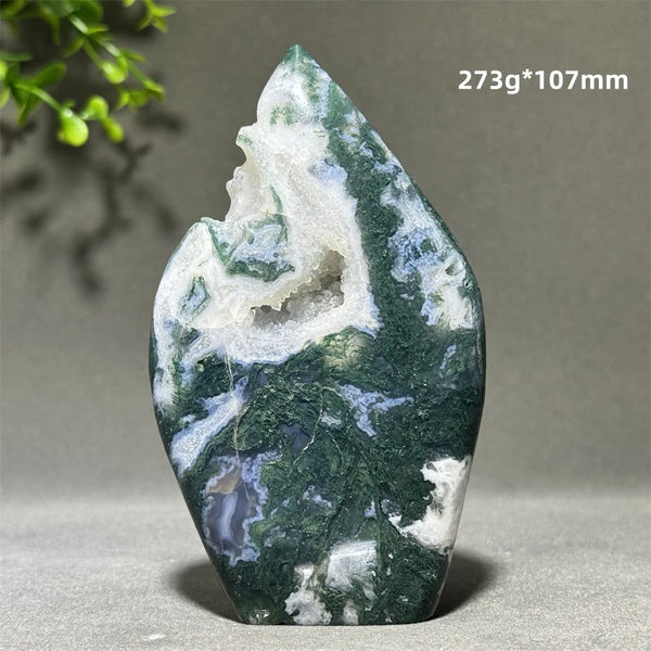 Green Aquatic Plant Agate-ToShay.org