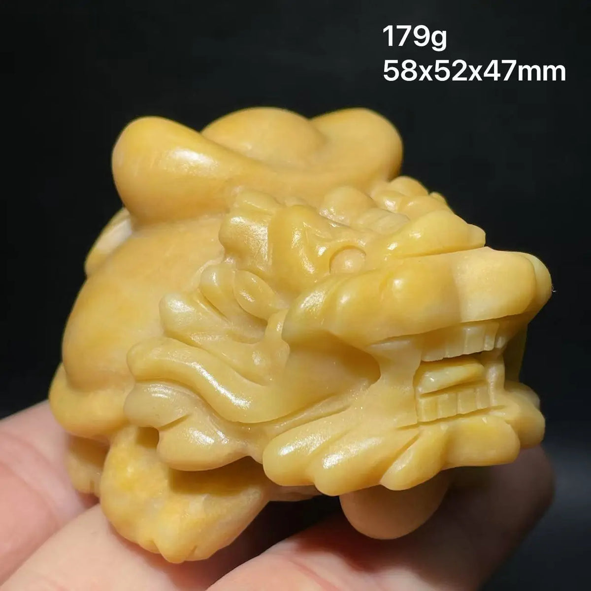 Mixed Crystal Dragon Turtles-ToShay.org