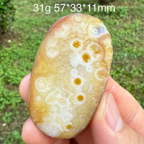 Brown Gobi Eye Agate-ToShay.org