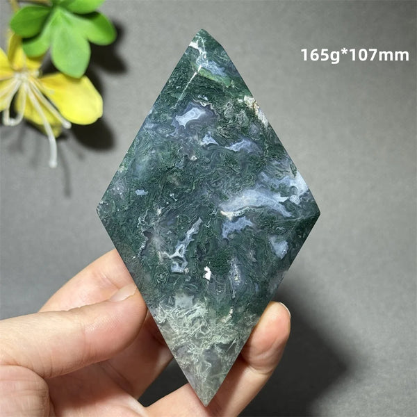 Green Aquatic Plant Agate-ToShay.org