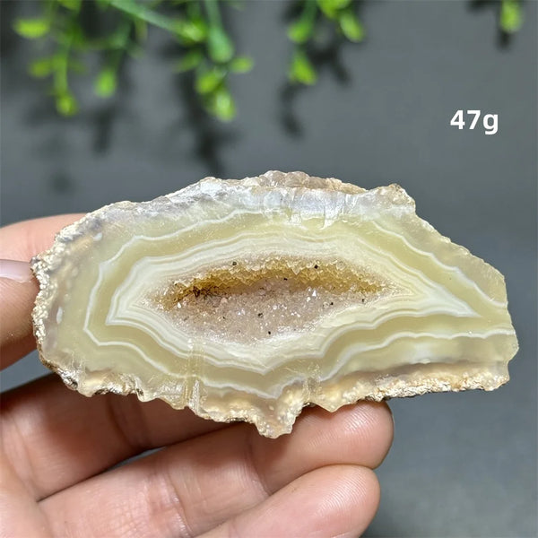 Yellow Agate Slice-ToShay.org