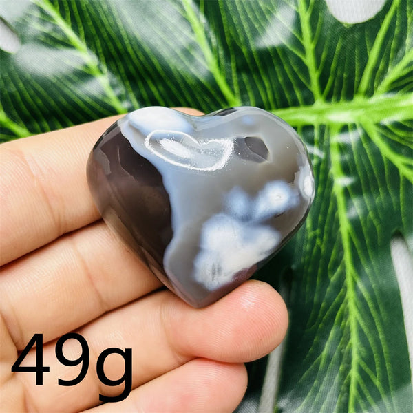 Black White Orca Agate-ToShay.org