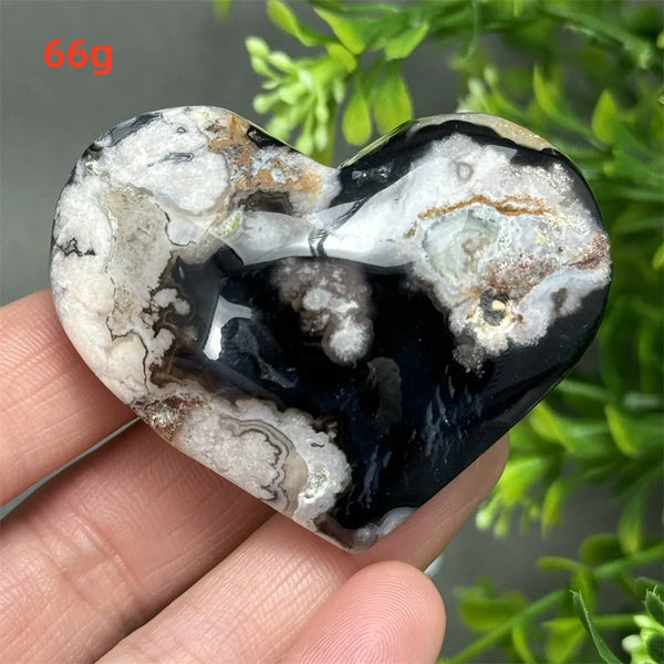 Black Cherry Blossom Agate-ToShay.org