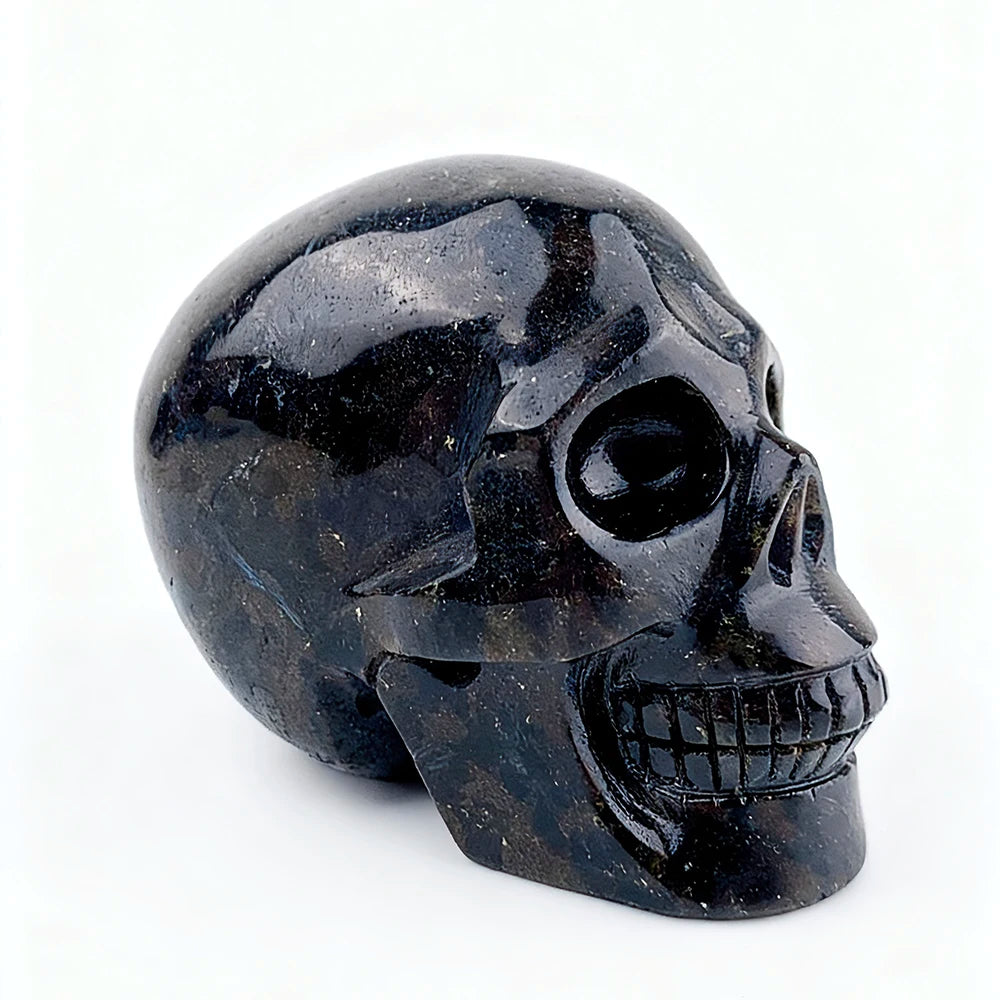 Red Astrophysicite Skull-ToShay.org