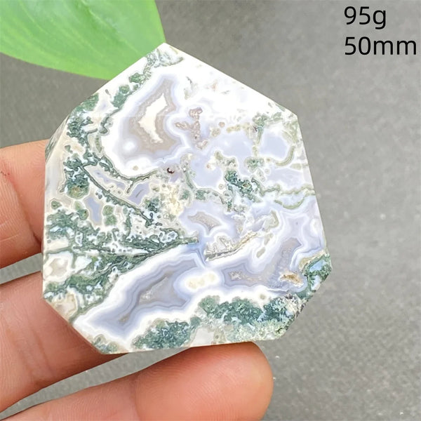Green Water Plant Agate-ToShay.org