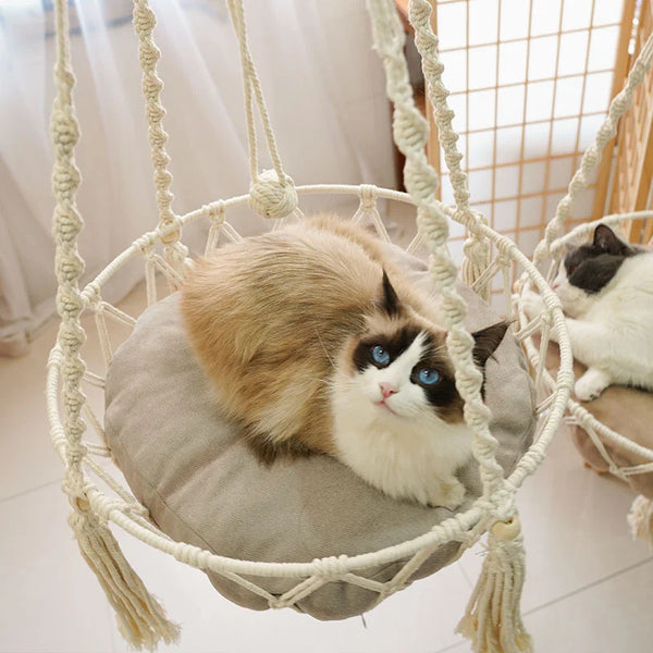 Hanging Macrame Cat Basket-ToShay.org