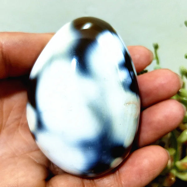 Mixed Lace Sardonyx Agate-ToShay.org