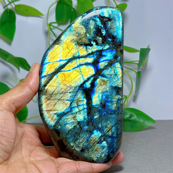 Blue Labradorite Rock-ToShay.org