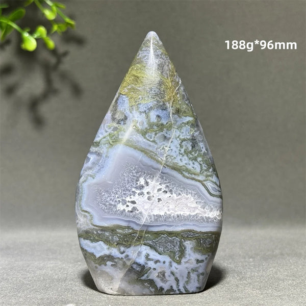 Green Aquatic Plant Agate-ToShay.org