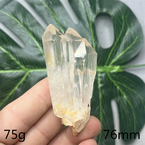 Clear Pineapple Quartz Cluster-ToShay.org