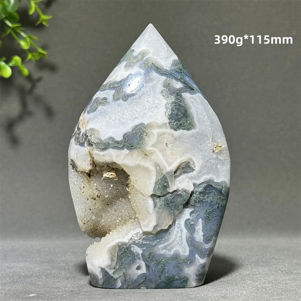 Green Aquatic Plant Agate-ToShay.org