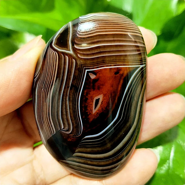Red Lace Sardonyx Agate-ToShay.org