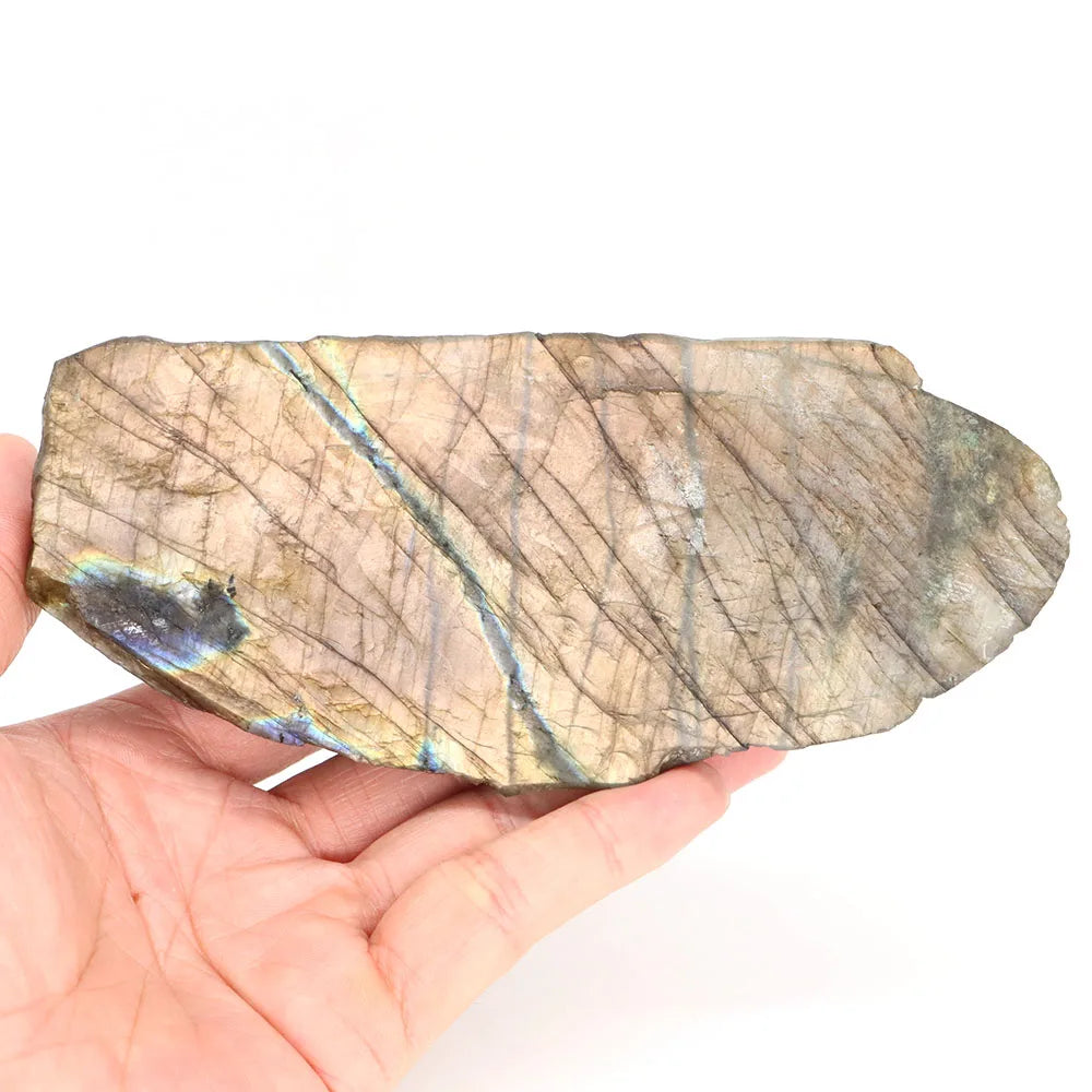 Blue Labradorite Crocodile-ToShay.org