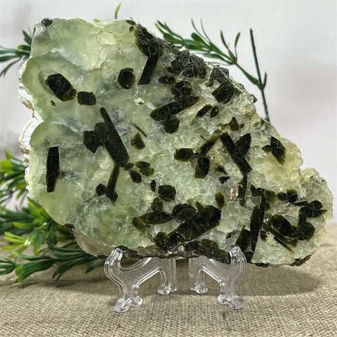 Green Prehnite Quartz-ToShay.org