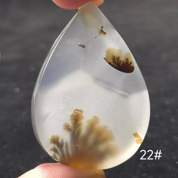 White Onyx Ocean Chalcedony-ToShay.org