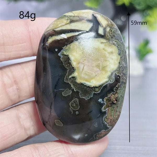 Fire Agate Palm Stone-ToShay.org