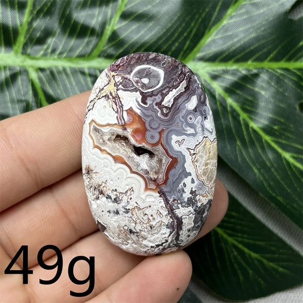 Red Crazy Agate Palm Stone-ToShay.org