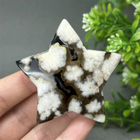 Black Cherry Blossom Agate-ToShay.org