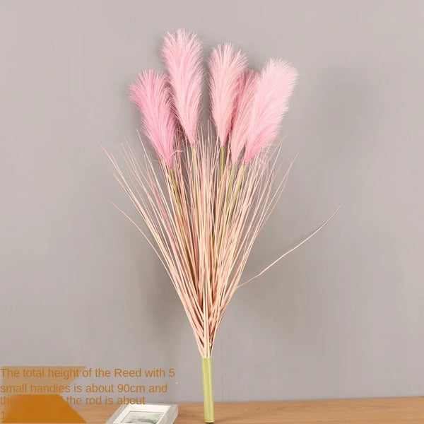 Reed Grass Plants-ToShay.org