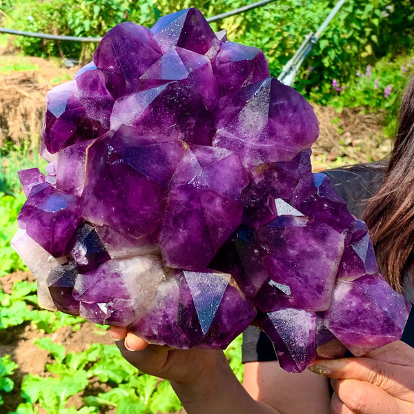 Purple Amethyst Cluster-ToShay.org