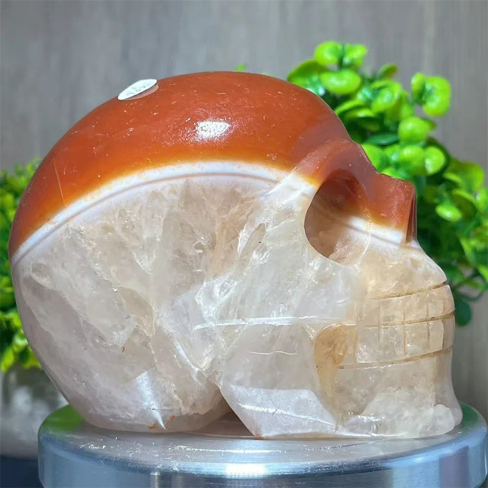 Red Carnelian Skull-ToShay.org