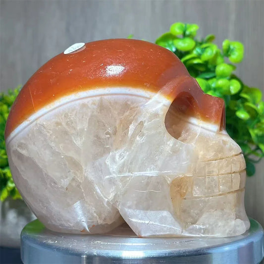 Red Carnelian Skull-ToShay.org