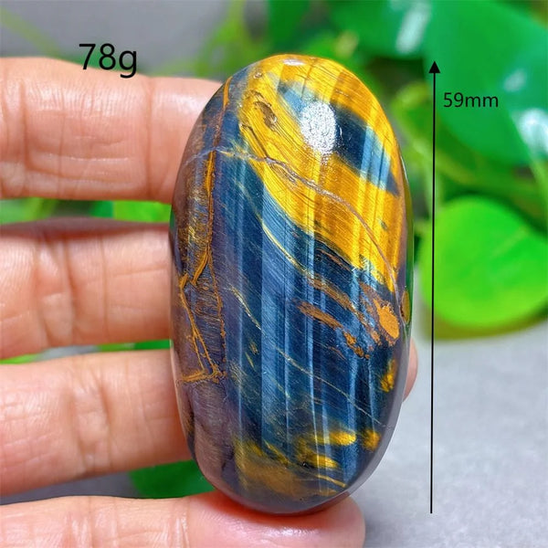 Blue Yellow Tiger Eye-ToShay.org