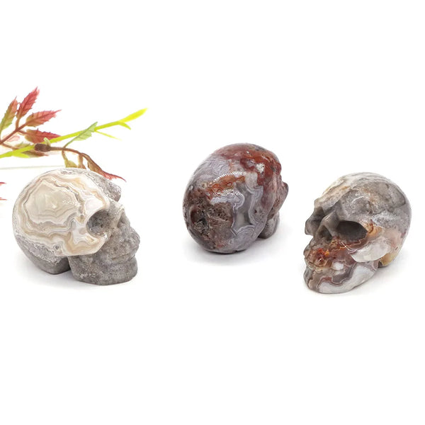 Grey Crazy Lace Agate Skull-ToShay.org