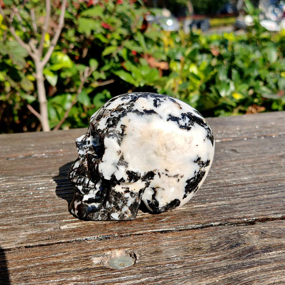 Black White Zebra Jasper Skull-ToShay.org