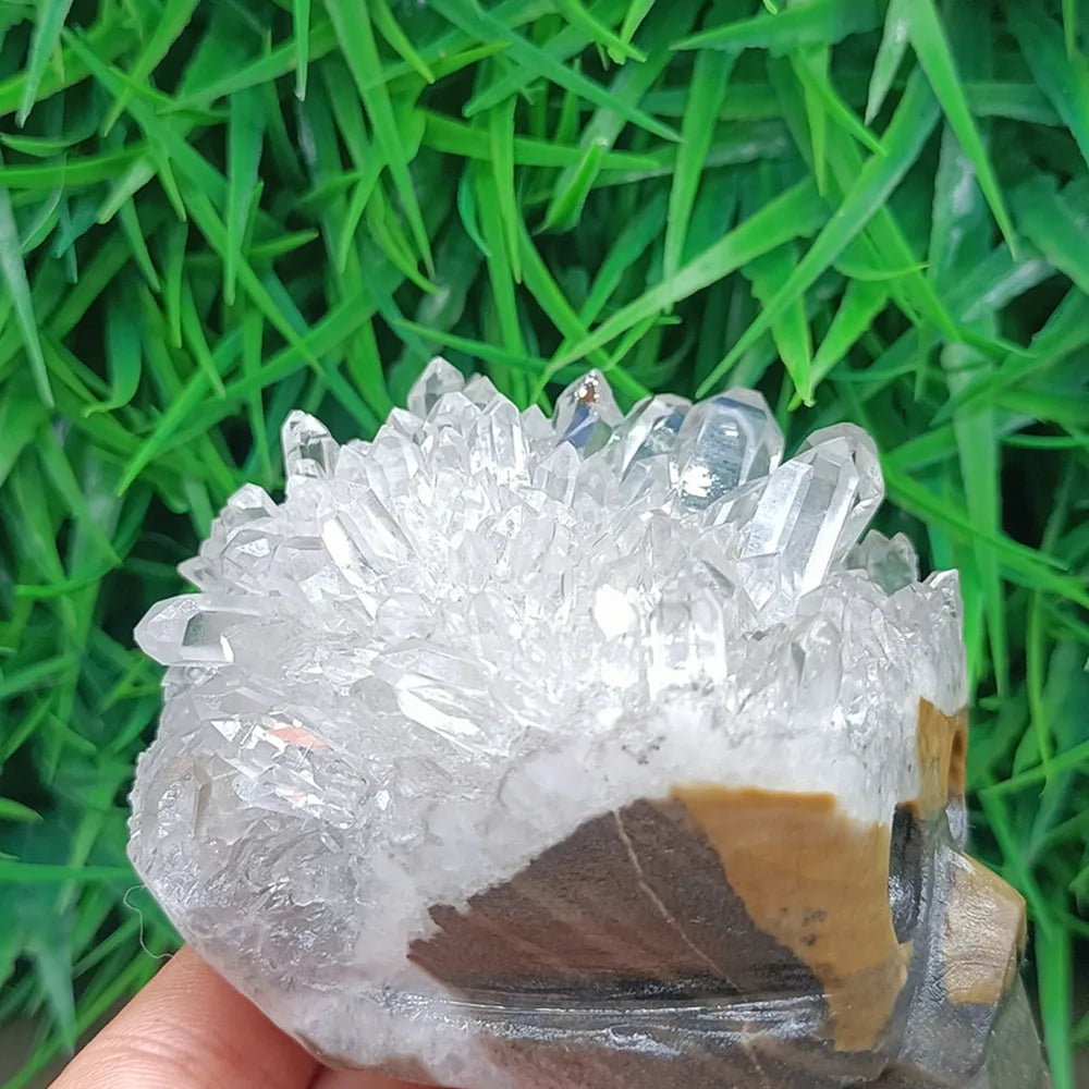 White Crystal Cluster Skull-ToShay.org