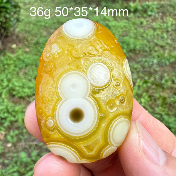 Brown Gobi Eye Agate-ToShay.org