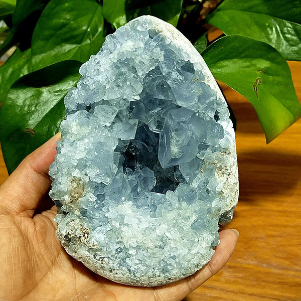 Blue Celestine Geode Crystal-ToShay.org