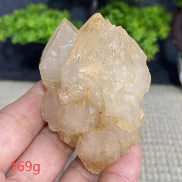 White Quartz Crystal Cluster-ToShay.org